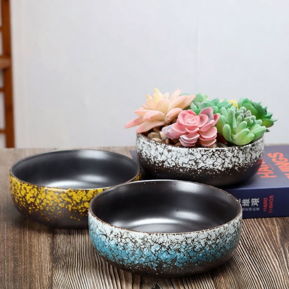 大口径の陶器製多肉植物鉢。手作りの粗陶で、通気性の良い花器と - Bonsai Garden Art のレビューと価格