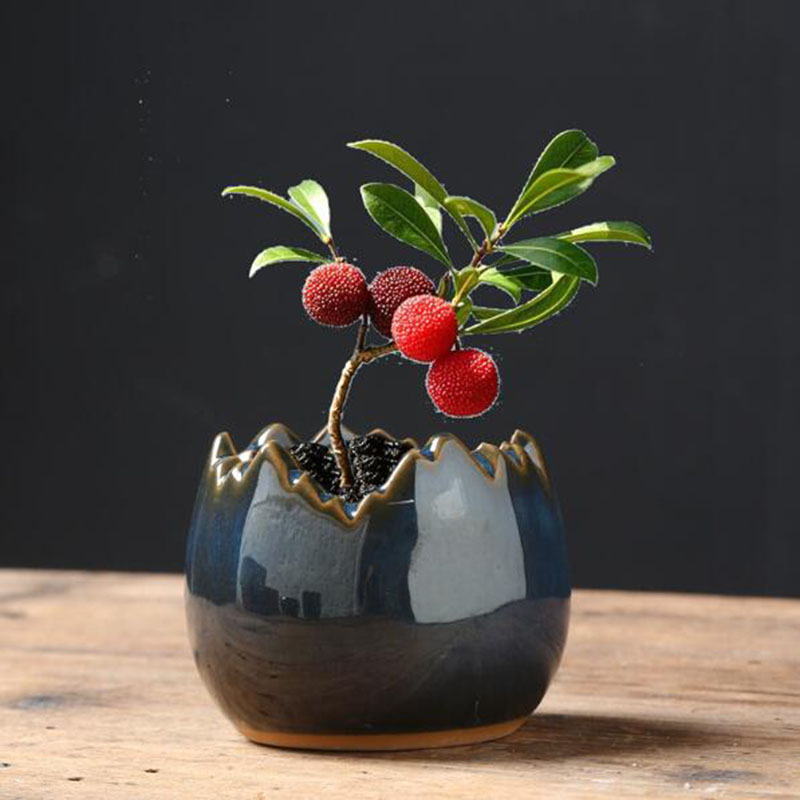 窯変釉卵殻フラワーポット　クリエイティブ多肉植物鉢　盆栽花瓶 - Bonsai Garden Art のレビューと価格
